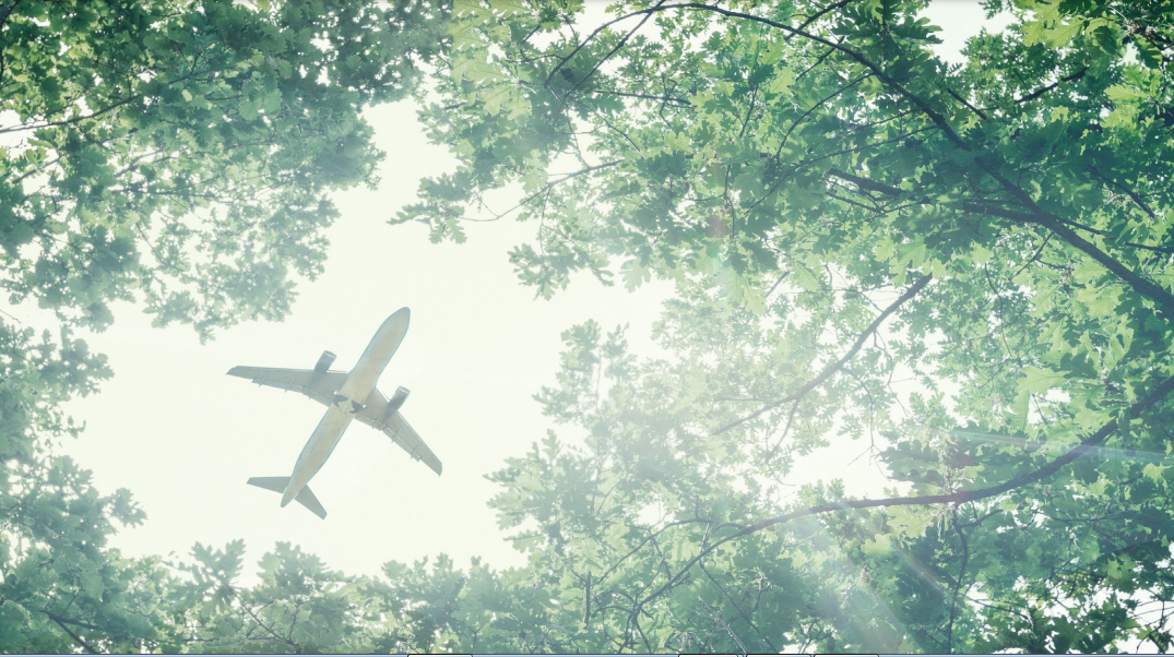 combustibles de aviación sostenibles